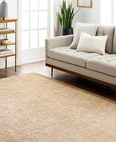 Livabliss Masterpiece High-Low Mpc-2316 2'8" x 3'11" Area Rug