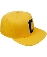 Men's Pro Standard Gold Coppin State Eagles Evergreen C Snapback Hat