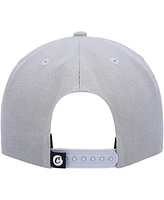 Men's Cookies Gray C-Bite Snapback Hat
