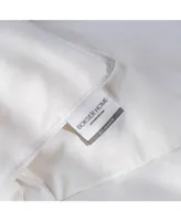 All Season Feather & Down Duvet Comforter Insert