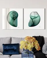 Empire Art Direct Shimmering Snail I Ii Frameless Free Floating Tempered Glass Panel Graphic Wall Art, 24" x 24" x 0.2" Each