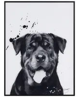 Empire Art Direct "Rottweiler" Pet Paintings on Printed Glass Encased with A Black Anodized Frame, 24" x 18" x 1"