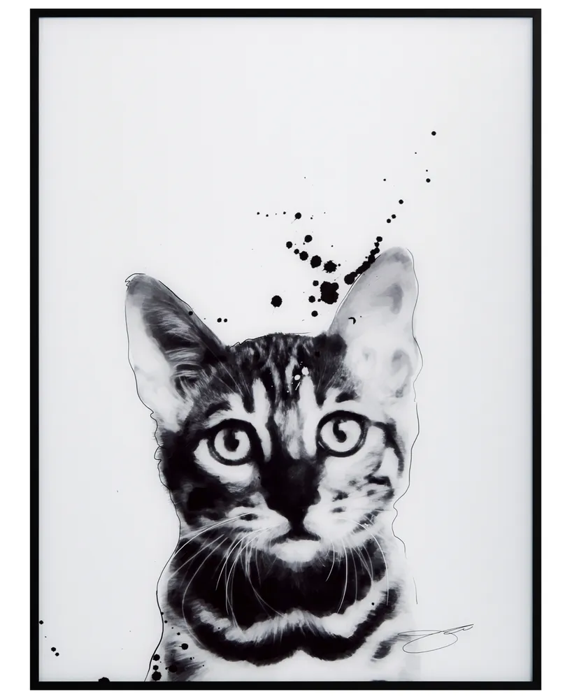 Empire Art Direct Persian Black and White Pet Paintings on Reverse Printed  Glass Framed Cat Wall Art, 24 x 18 x 1, Ready to Hang 