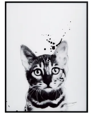 Empire Art Direct "Bengal Cat" Pet Paintings on Printed Glass Encased with A Black Anodized Frame, 24" x 18" x 1"