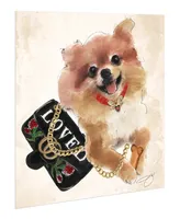 Empire Art Direct "Pomeranian" Unrameled Free Floating Tempered Glass Panel Graphic Dog Wall Art Print 20" x 20", 20" x 20" x 0.2" - Multi