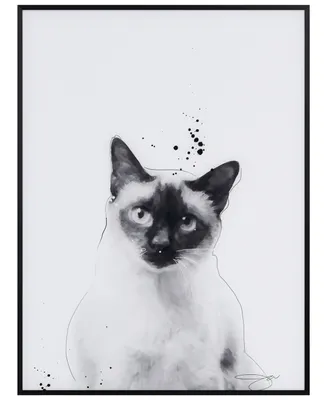 Empire Art Direct "Siamese" Pet Paintings on Printed Glass Encased with A Black Anodized Frame, 24" x 18" x 1"