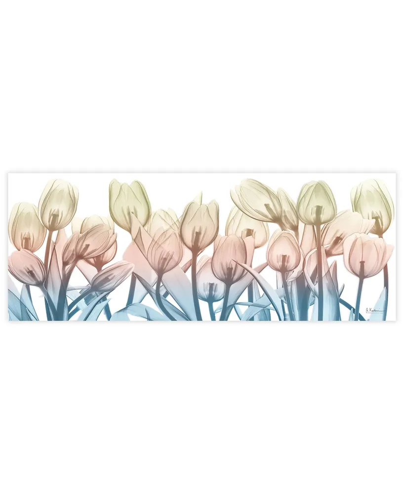 Empire Art Direct "Spring Blooms" Frameless Free Floating Tempered Glass Panel Graphic Wall Art, 24" x 63" x 0.2" - Multi