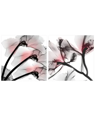 Empire Art Direct Coral Luster 1 2 Frameless Free Floating Tempered Glass Panel Graphic Wall Art, 24" x 24" x 0.2" Each