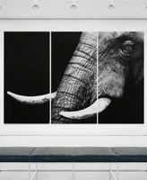 Empire Art Direct "Elephant Abc" Frameless Free Floating Tempered Glass Panel Graphic Wall Art Set of 3, 72" x 36" x 0.2" Each