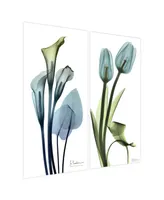 Empire Art Direct "Calla LIly and Blue TuLIps" Frameless Free Floating Tempered Glass Panel Graphic Wall Art Set of 2, 48" x 24" x 0.2" Each