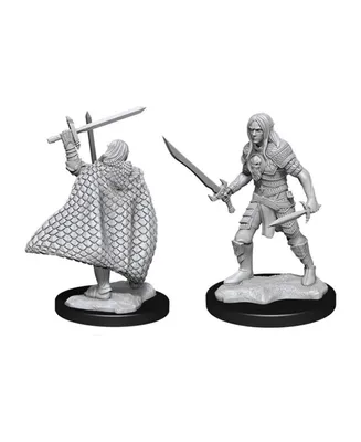 WizKids Pathfinder Battles Deep Cuts Unpainted Male Elf Fighter Sword Fig