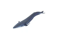 Safari Ltd Blue Whale Sea Life