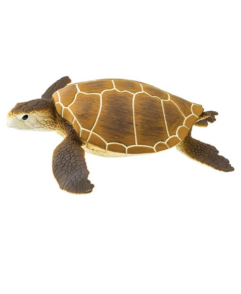 Safari Ltd Green Sea Turtle Wild Safari Figure