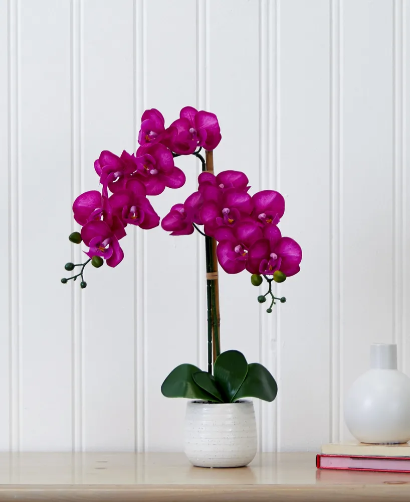 Nearly Natural 19" Artificial Orchid with Decorative Vase