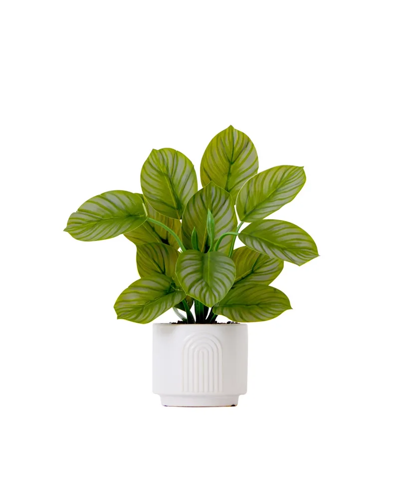 Nearly Natural 12" Artificial Calathea Plant with Decorative Planter