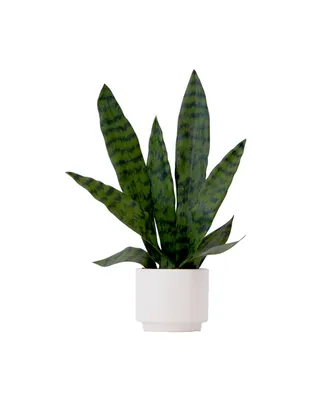 Nearly Natural 16" Artificial Sansevieria Snake Plant with Decorative Planter