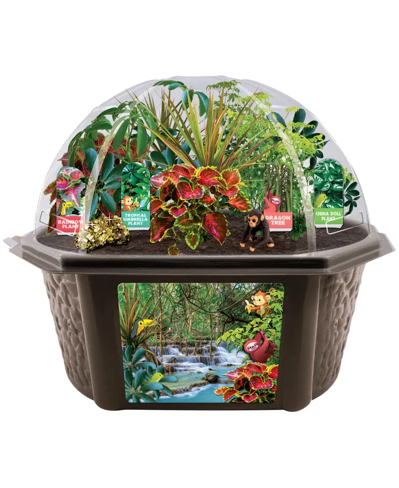 Toys By Nature Biosphere Terrarium