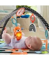 Fisher Price 3-in-1 Music, Glow and Grow Gym Activity Play Mat