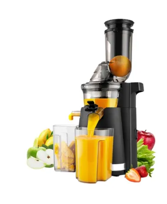 Zulay Kitchen Cold Press Masticating Juicer Extractor - Slow Press Electric Juicer for Fruits and Vegetables