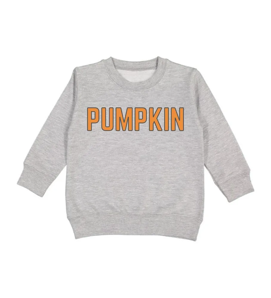 Little and Big Boys Pumpkin Sweatshirt