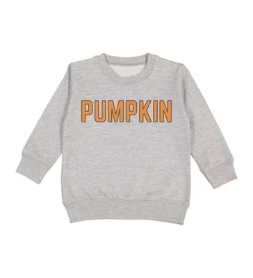 Little and Big Boys Pumpkin Sweatshirt