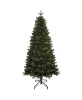 Kurt Adler 6' Pre-lit Clear Incandescent Studio Spruce Tree