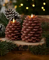 Seasonal Pinecone Flameless Candle x