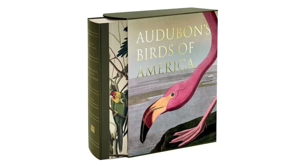 Audubon's Birds of America