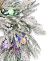 Seasonal Frosted Acadia 24" Flocked Polyethylene Polyvinyl Chloride Wreath 50 Bo Lights 400 Tips, Color Changing Bo Led