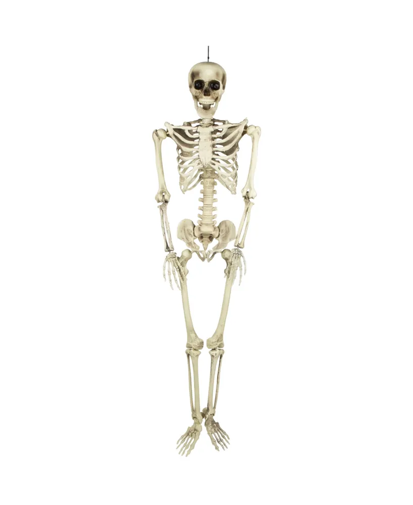 Life Size Skeleton Halloween Decoration, 5'