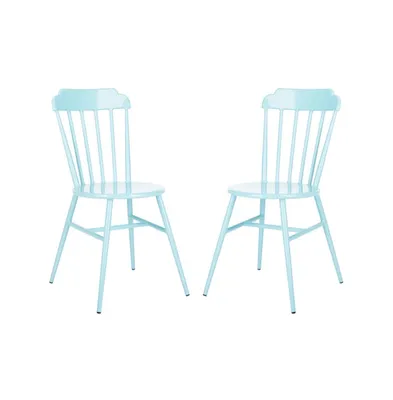 Broderick Indoor Outdoor Side Chair (Set of 2)