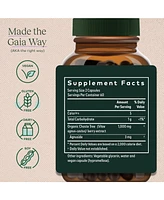 Gaia Herbs Vitex Berry (Chaste Tree) - Supports Hormone Balance & Fertility for Women