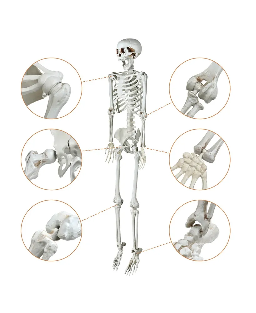 Yescom 5.4 Ft Skeleton Bones Led Eye Life Size Halloween Decor Skull Party