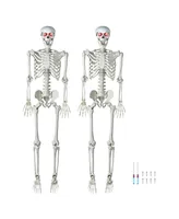 Yescom 5.4 Ft Skeleton Bone Led Eye Life Size Halloween Decor Skull 2 Pack