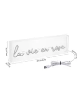 Jonathan Y La Vie En Rose Contemporary Glam Acrylic Box Usb Operated Led Neon Light