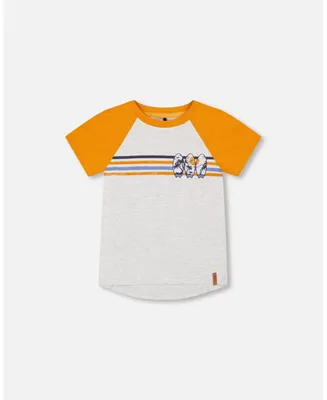 Boy Organic Cotton Raglan T-Shirt Light Gray Mix And Orange