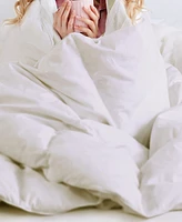 Sleep Philosophy Heavy Warmth Goose Feather & Down Filling Comforter