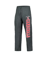 Men's Concepts Sport Charcoal, Red St. Louis Cardinals Meter T-shirt and Pants Sleep Set