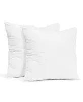Square Sofa Throw Pillow Inserts - 18"x18" - 2 Pack