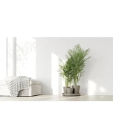 Ecopots Dubai Self Watering Planter with Wheels and Saucer, 22in