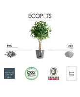 Ecopots Venice Indoor and Outdoor Planter with Water Reservoir