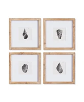 Seashell Petite Prints Set of 4