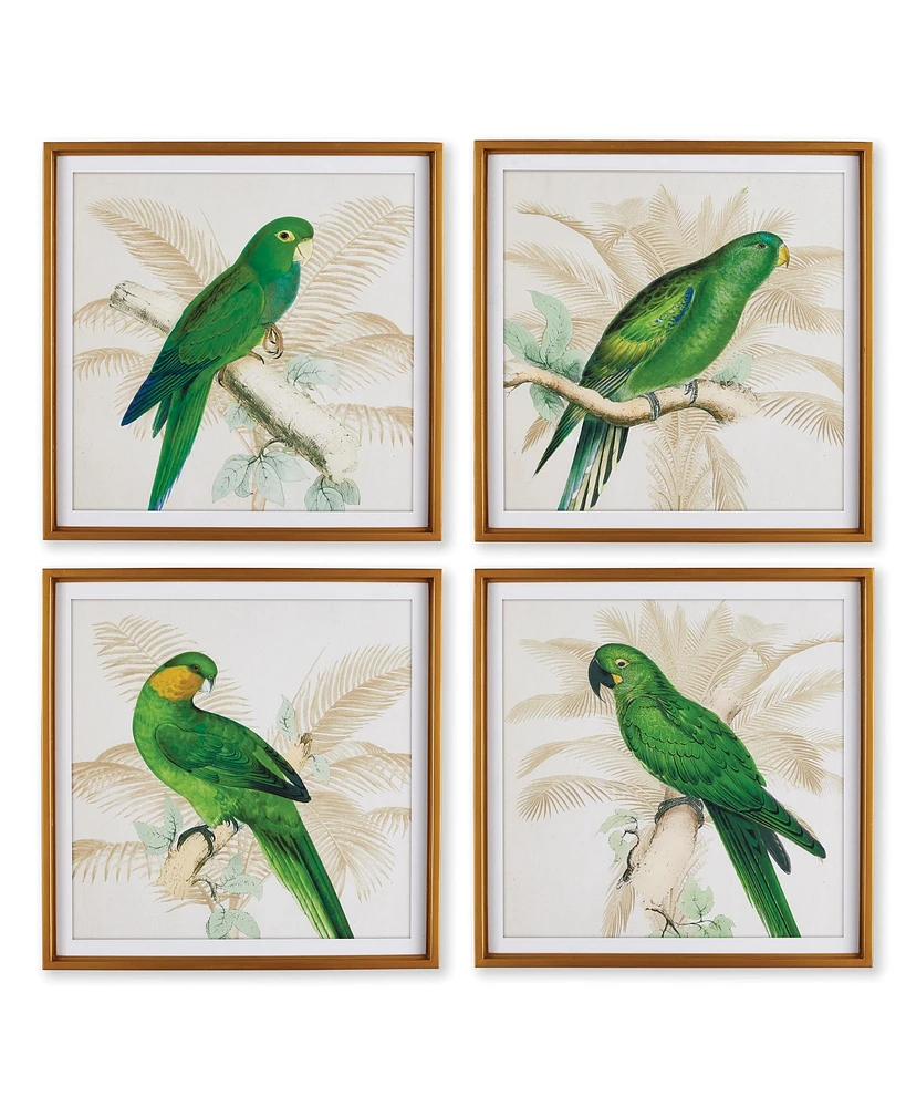 Green Parrots Study Set of 4 Wall Art