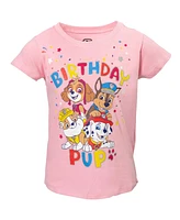 Paw Patrol Toddler Girls Skye Rubble Chase Marshall Birthday T-Shirt