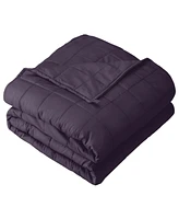 Bare Home Weighted Blanket, 10lbs (60" x 40