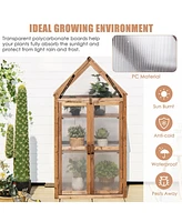 Cold Frame Mini Wooden Greenhouse for Vegetable and Flower