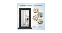 Bathroom Wall Cabinet with Single Mirror Door