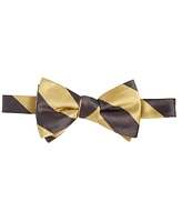 Tayion Collection Men's Stripe Bow Tie