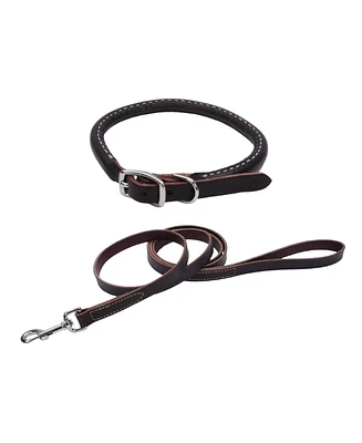 Coastal Pet Circle T by Latigo Leather Twist Dog Leash with Brass Hardware (6') & Latigo Leather Round Dog Collar (3/8" x 18")