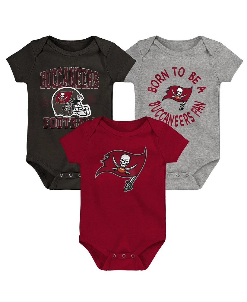 Baby Boys and Girls Red, Pewter, Gray Tampa Bay Buccaneers Born to Be 3-Pack Bodysuit Set